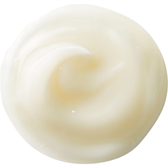 NutriPerfect Day Cream SPF 15