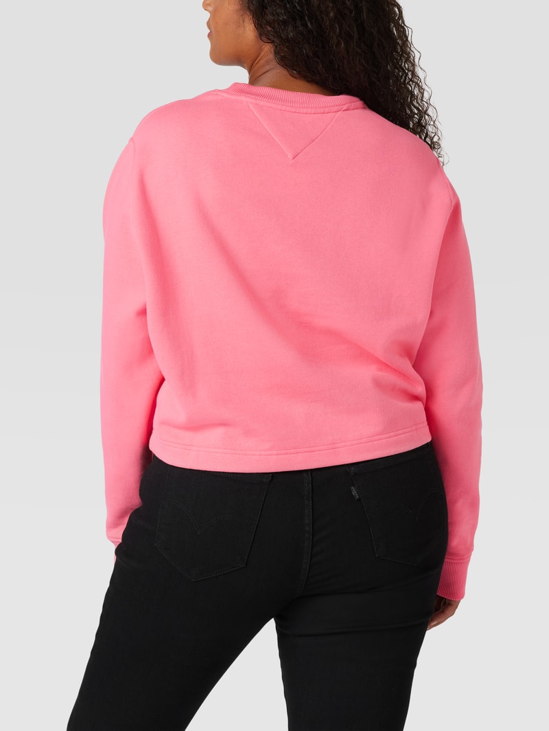 PLUS SIZE Sweatshirt mit Label-Stitching Modell 'TOMMY SIGNATURE' in pink