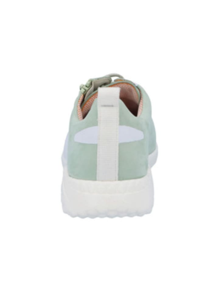 Solidus Sneaker für Damen in grün in grün günstig kaufen