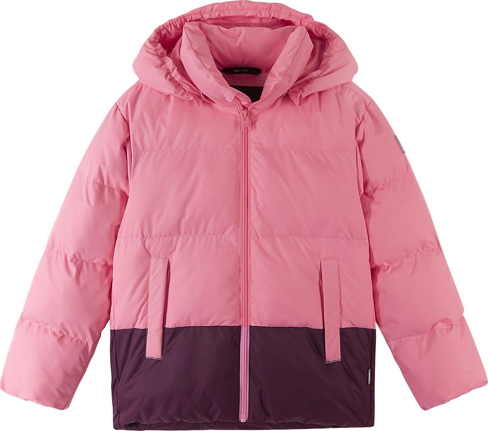 Winter Jacket