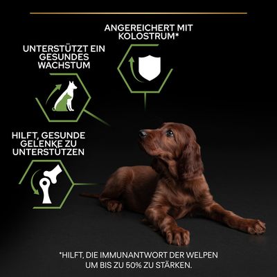 PURINA PRO PLAN Large Athletic Puppy Healthy Start