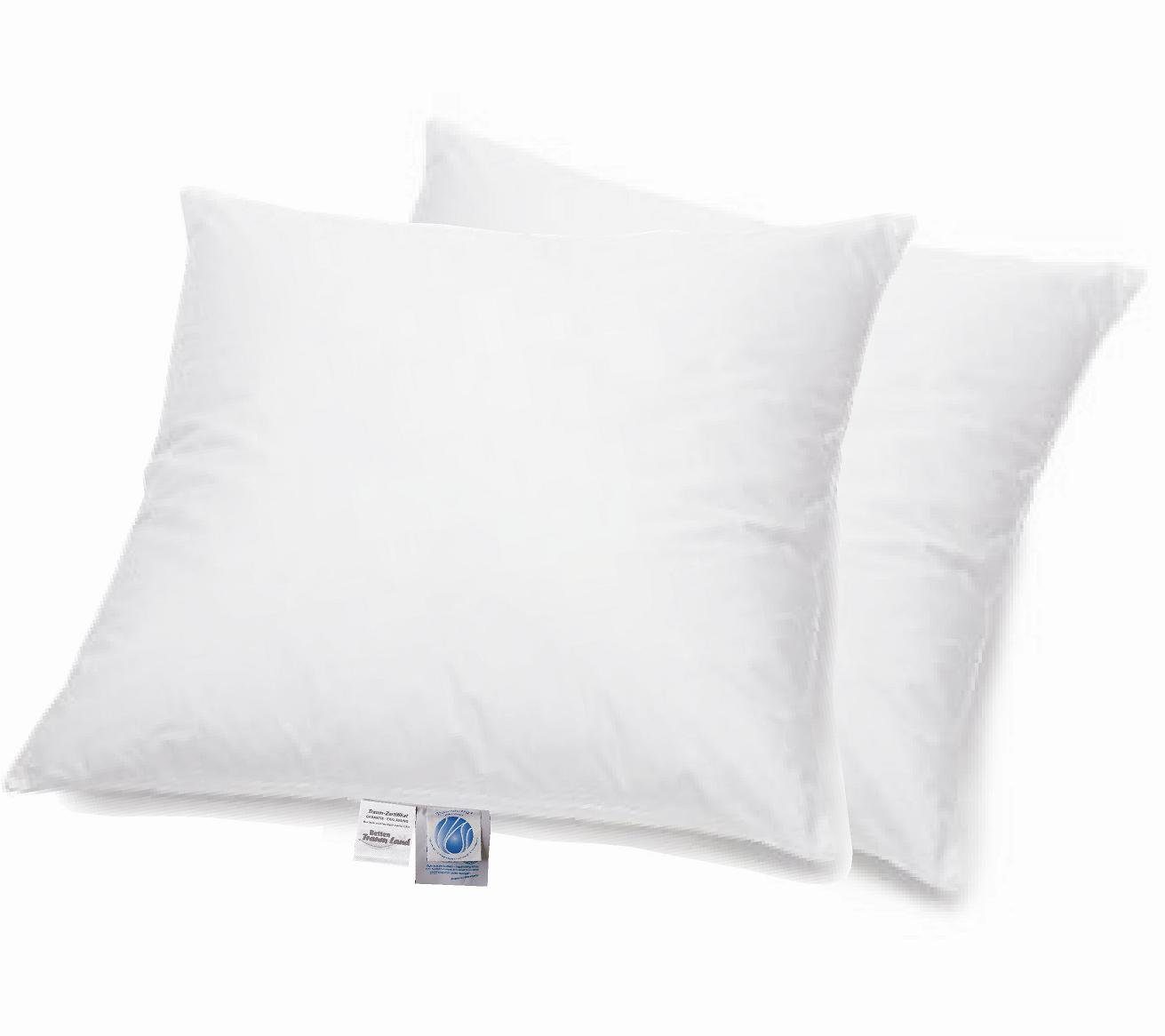 Federkissen Angebot Set 2 Arktic Kopfkissen 100% Federn 80x80 cm Oma's Kissen, Betten Traumland