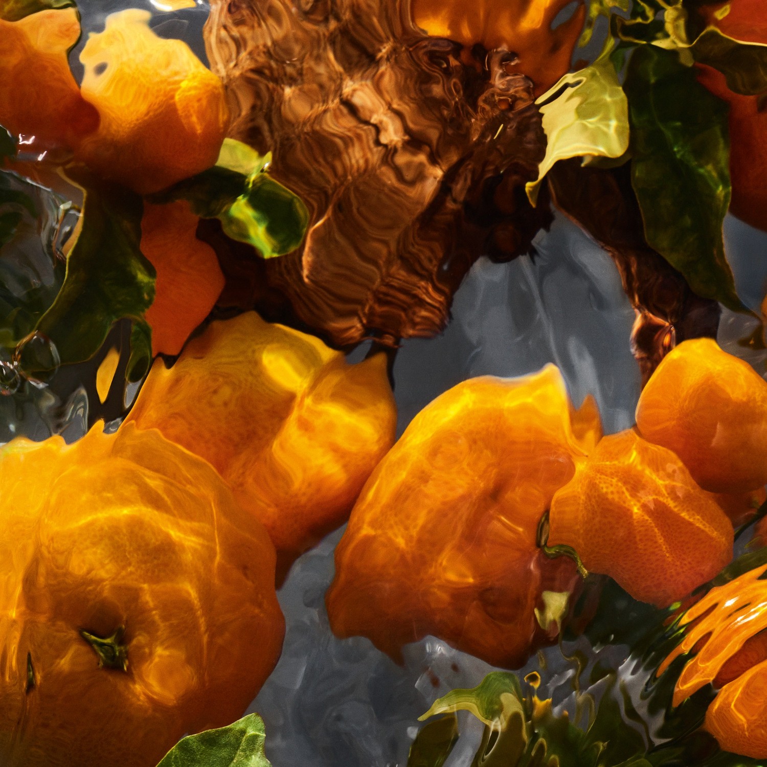 Mandarine Basilic Forte Eau de Parfum – Geschenkset