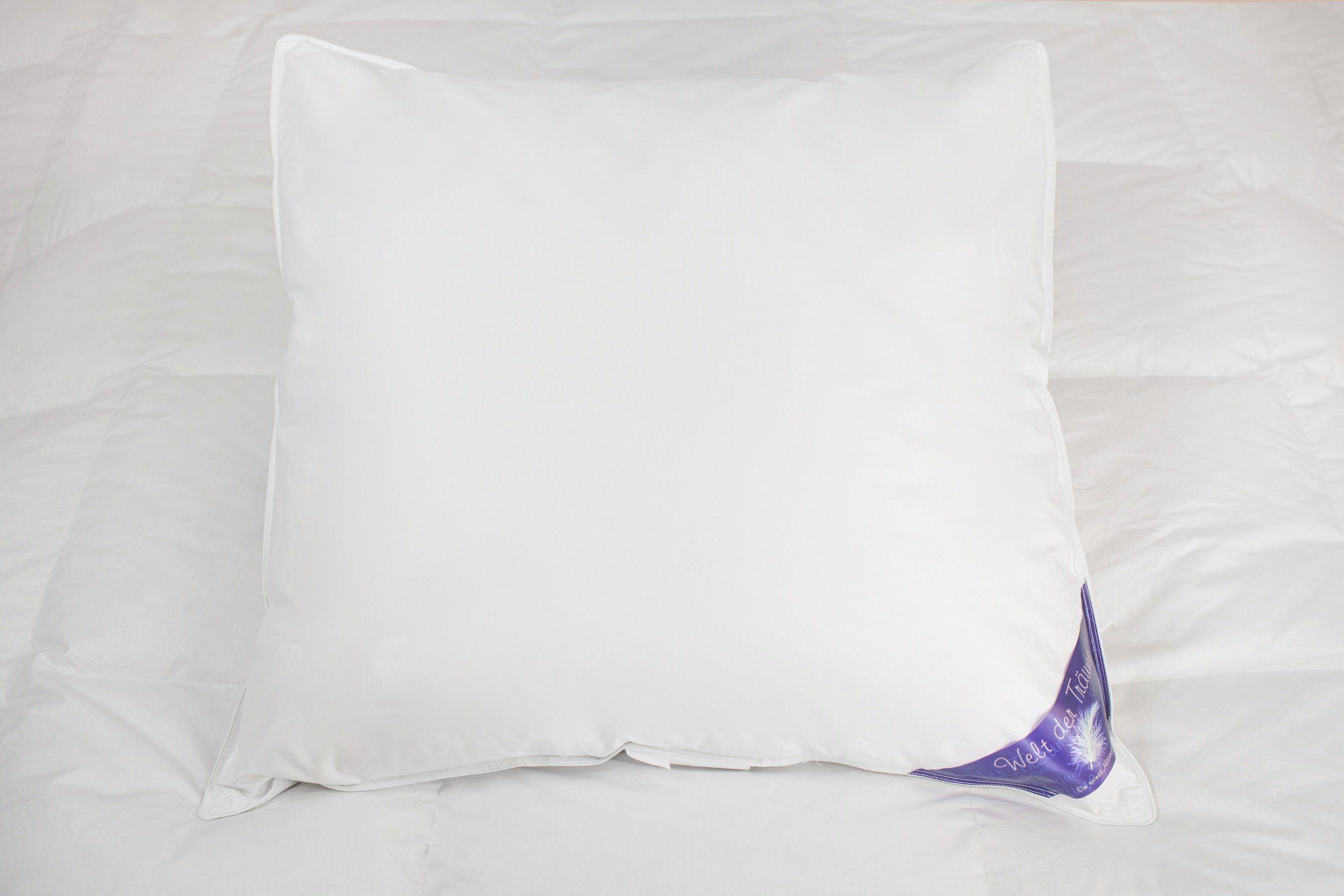 Daunenkissen Daunenkissen Kissen Federkissen Kopfkissen Kinderkissen Daunen Federn Bettwaren DownPillow FeatherPillow 80 x 80 700 Gr., Welt der Träume, Füllung: 60% Daunen/ 40% Federn, Designed in Germany - Made in Europe