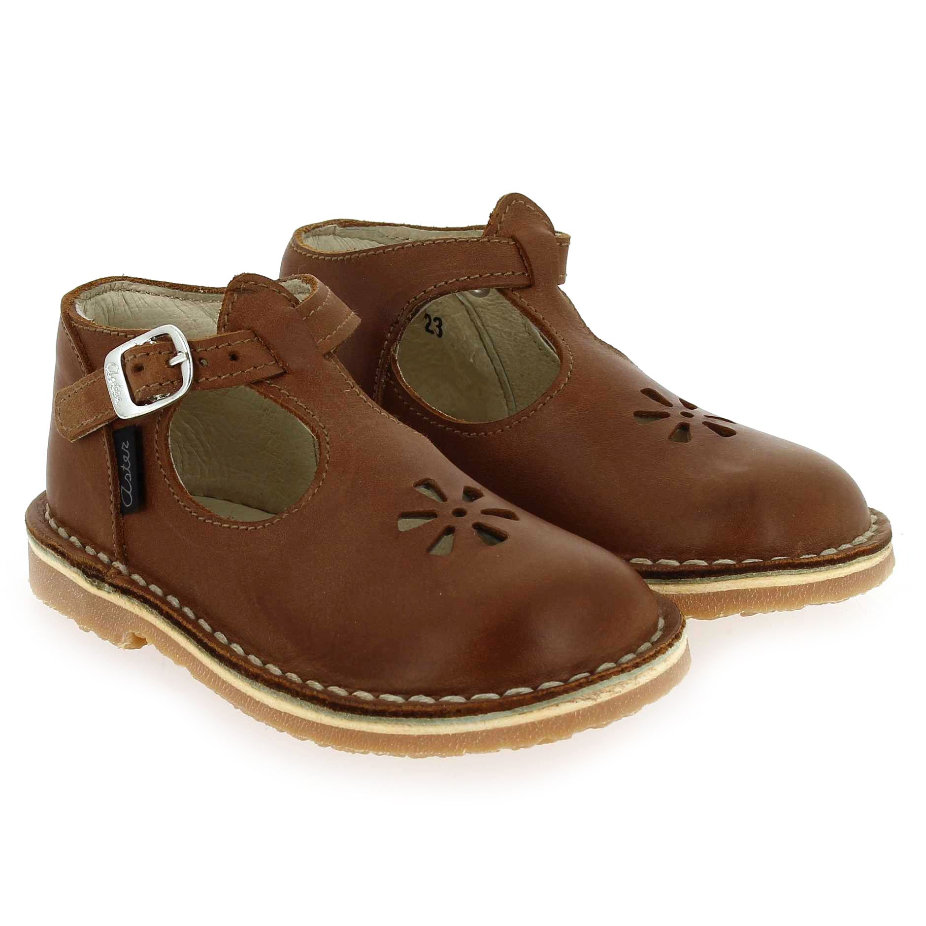 Aster  BIMBO - Cognac