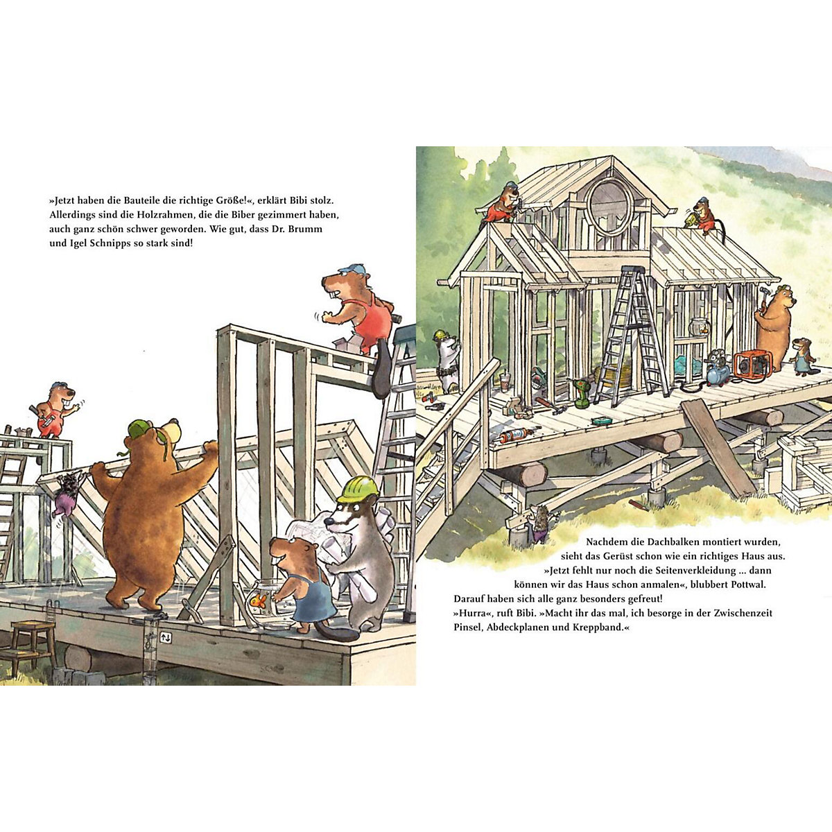 Dr. Brumm: Dr. Brumm baut ein Haus