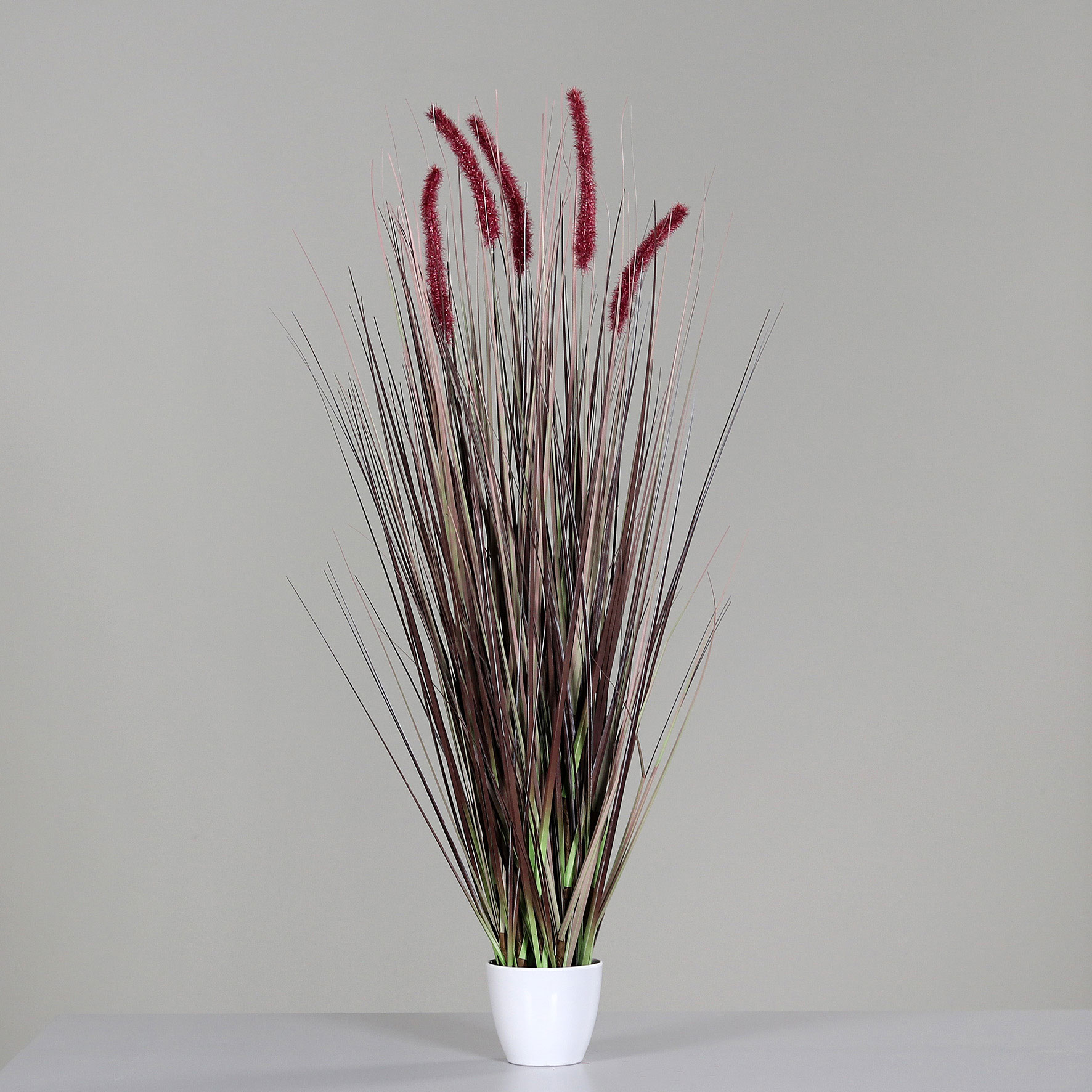 DPIGras m. Fruchtstand 95cm