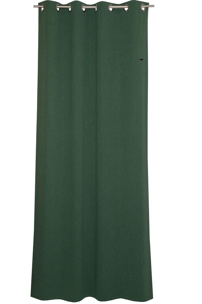 Curtains & Rollos
