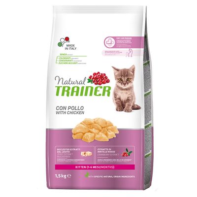 Natural Trainer Kitten