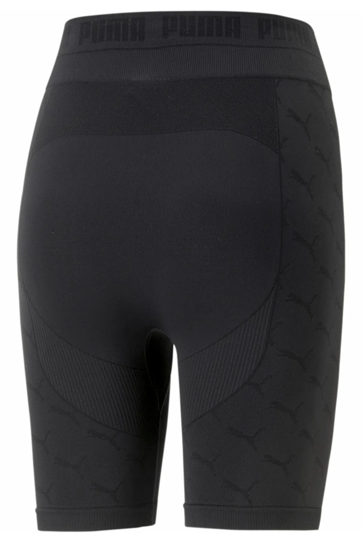 Puma  evoKNIT 7" kurze Laufhose