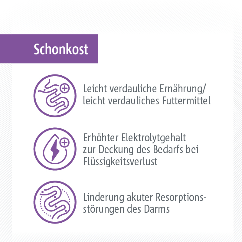 SELECT GOLD Hundetrockenfutter SELECT GOLD Medica Schonkost Geflügel & Reis 2x10 kg