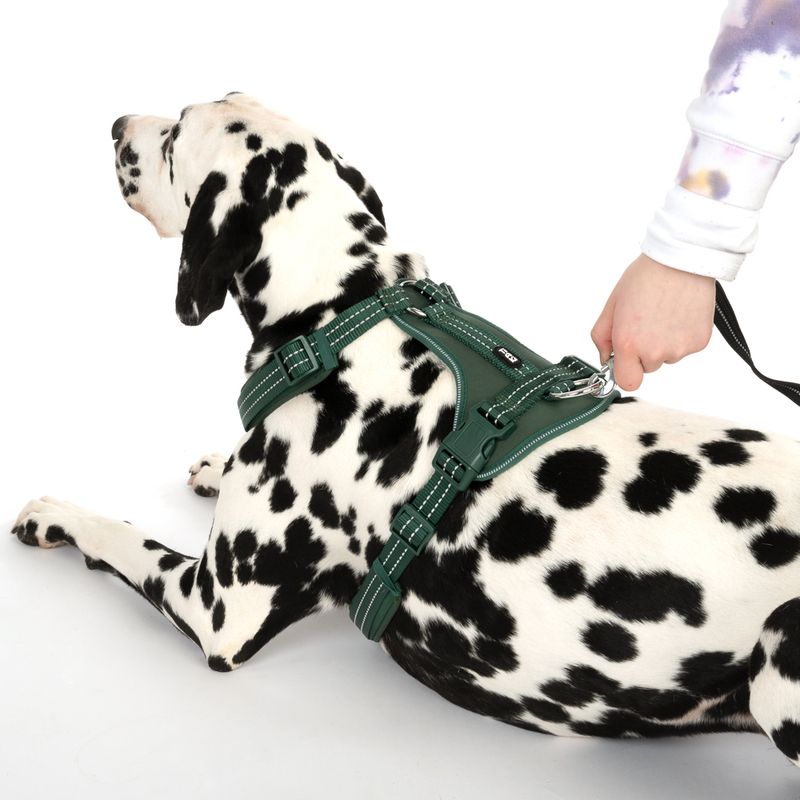 TIAKI Geschirr Neoprene, grün zu TOP-Preisen