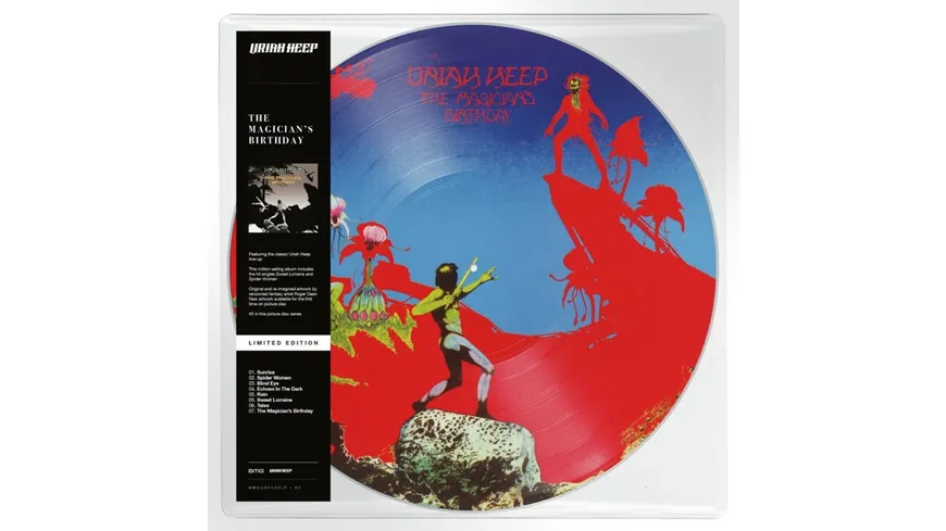 The Magician's Birthday Ltd.Edition Picture Disc