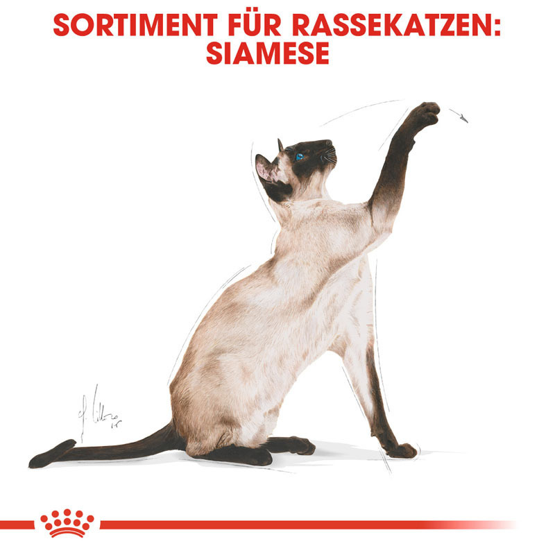 ROYAL CANIN Trockenfutter ROYAL CANIN Siamese Adult 2x10 kg