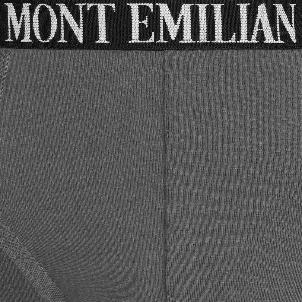 MONT EMILIAN 