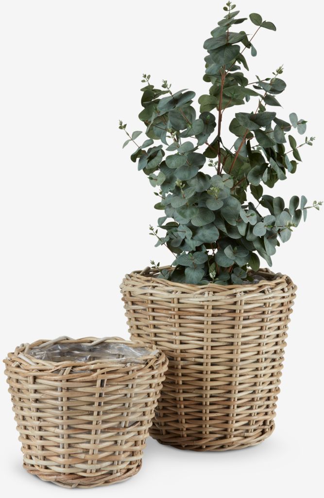 RINGTROST kurvblomsterpotte Ø32/37 naturlig kube 2 stk/sett