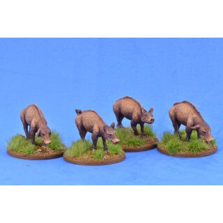 Pigs (4)