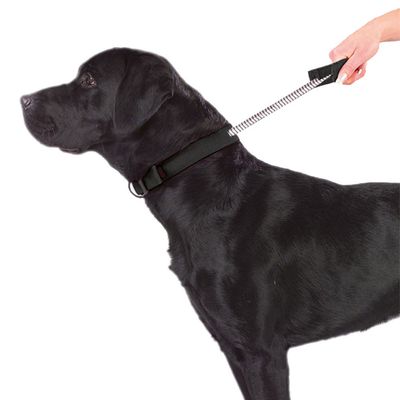 PatentoPet® Sport Halsband, schwarz