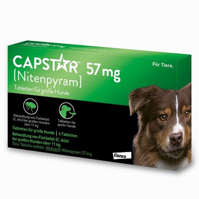 CAPSTAR 57 mg für große Hunde