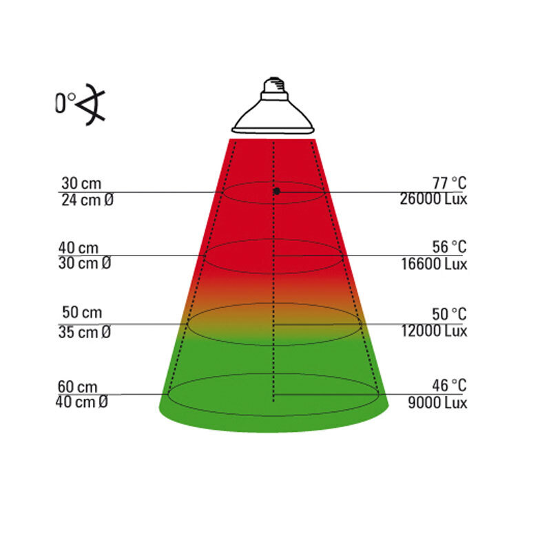 Lucky Reptile Beleuchtung Lucky Reptile Halogen Sun 100 W