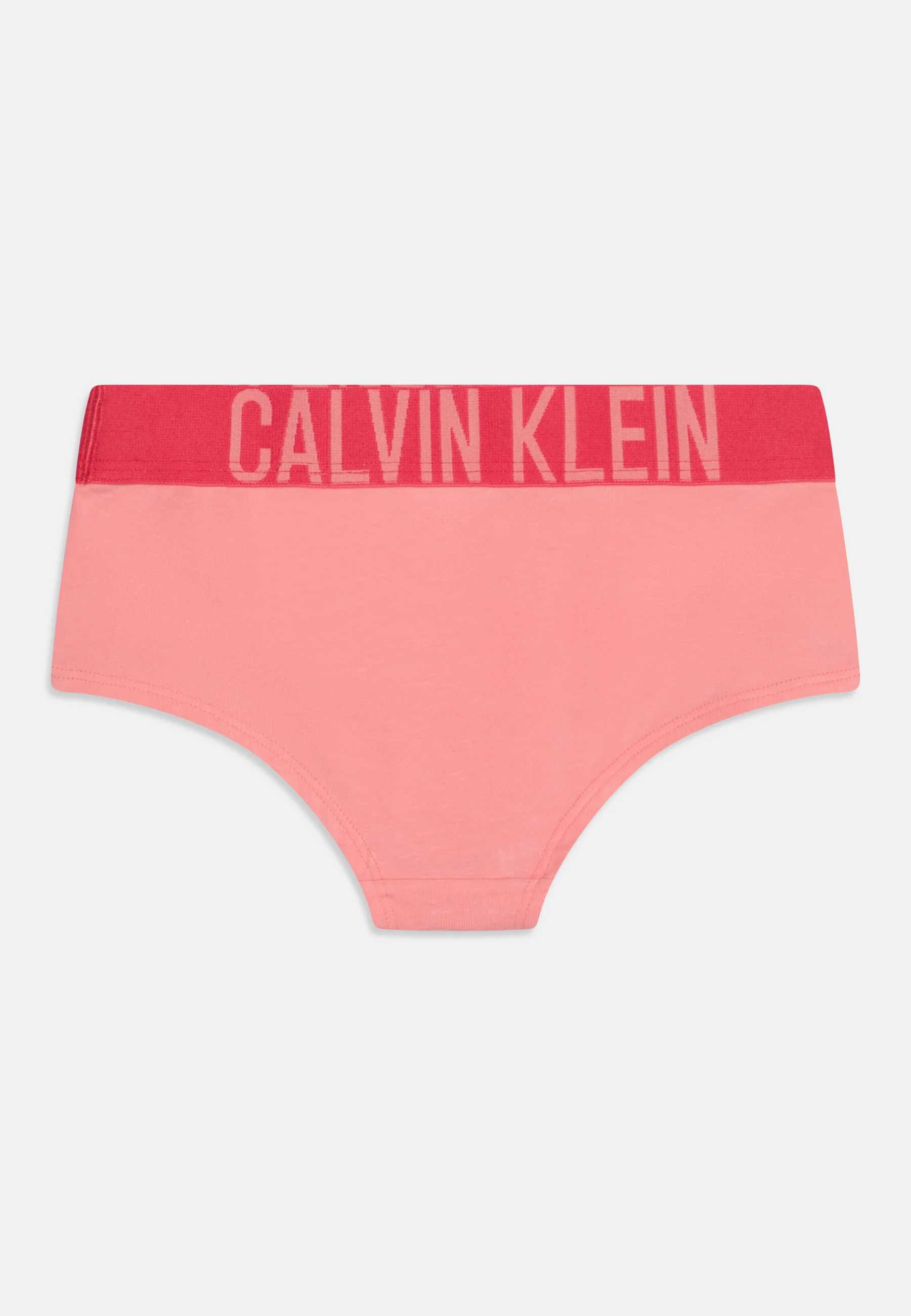 Calvin Klein Underwear SHORTY PACK DE 2 - Culotte