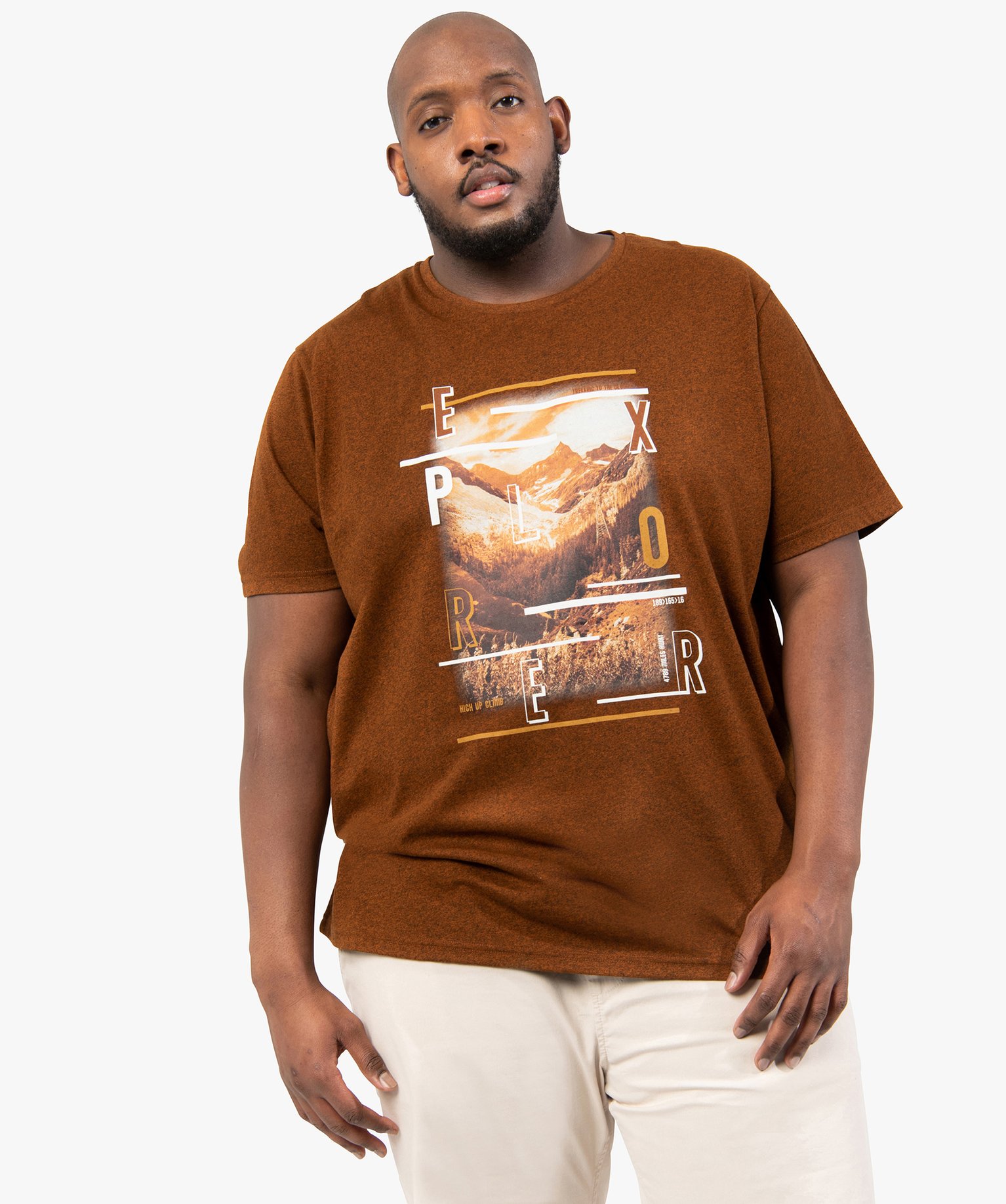 Tee-shirt homme grande taille avec motif montagne marron | GEMO