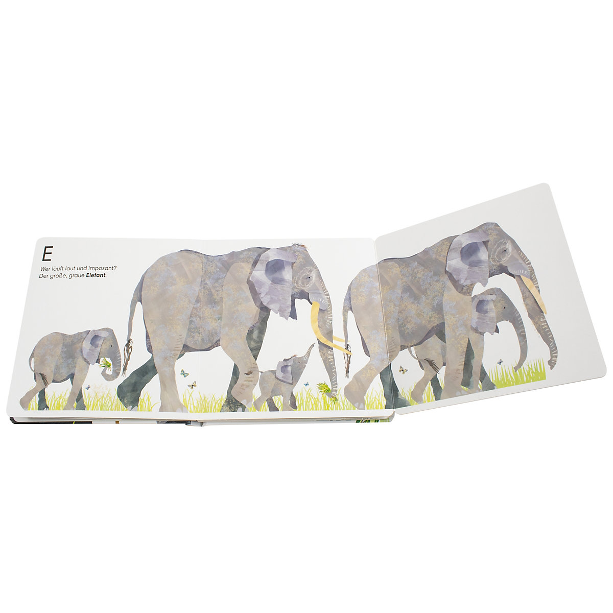 Tiere zählen 1 2 3