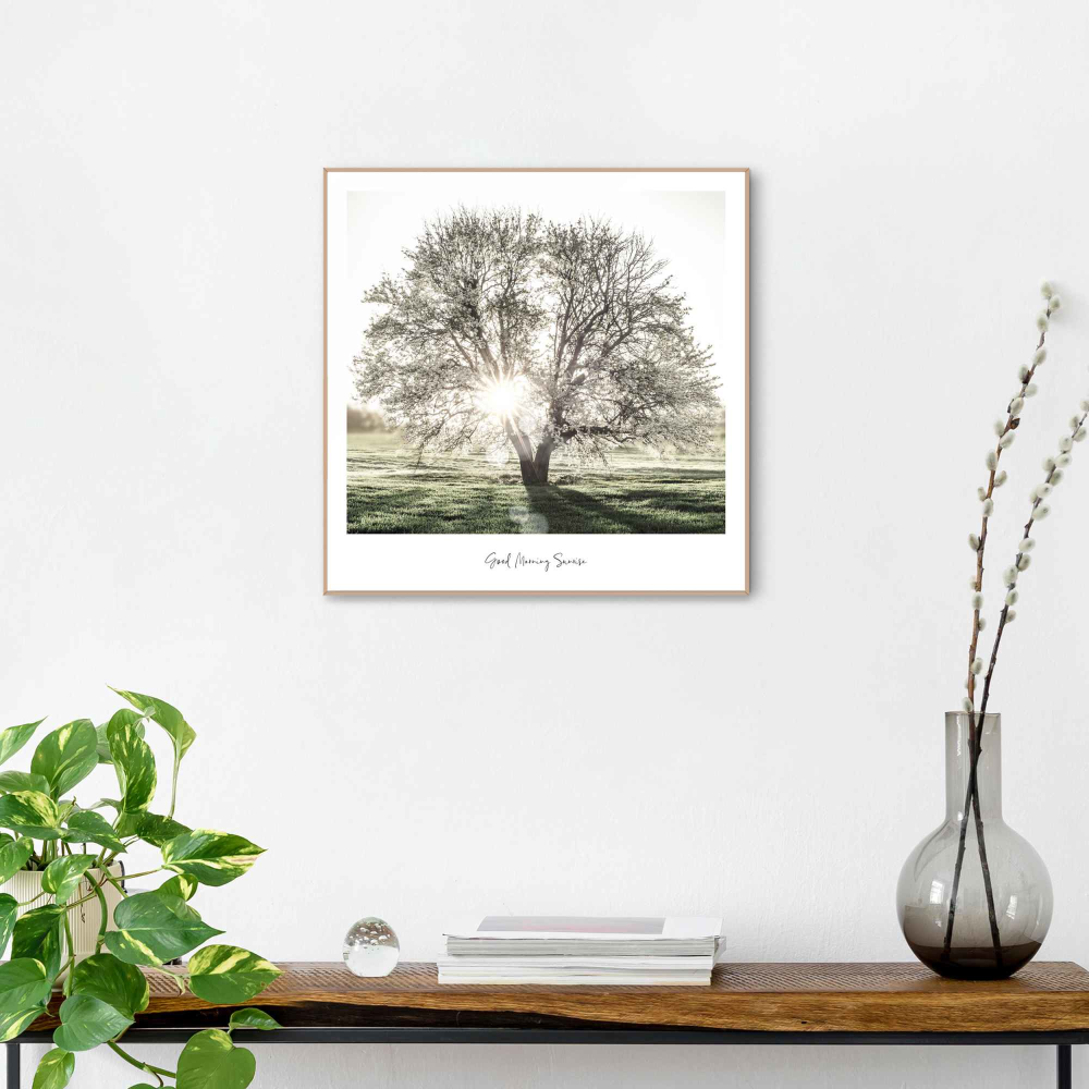 Rahmenbild Sunbeam Tree
