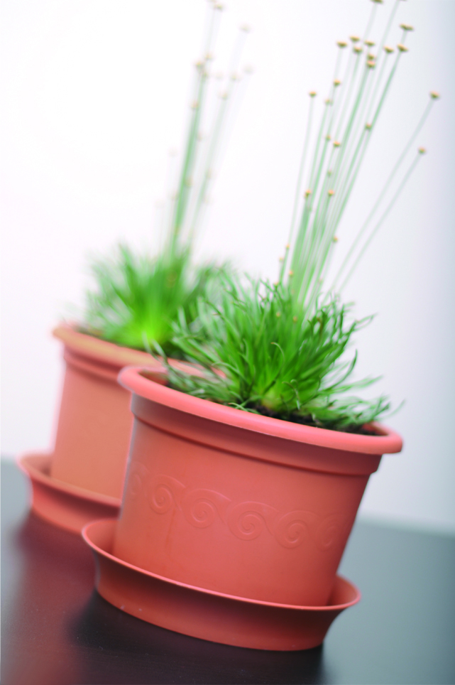 Protanic Powertec Garden Pflanztopf 