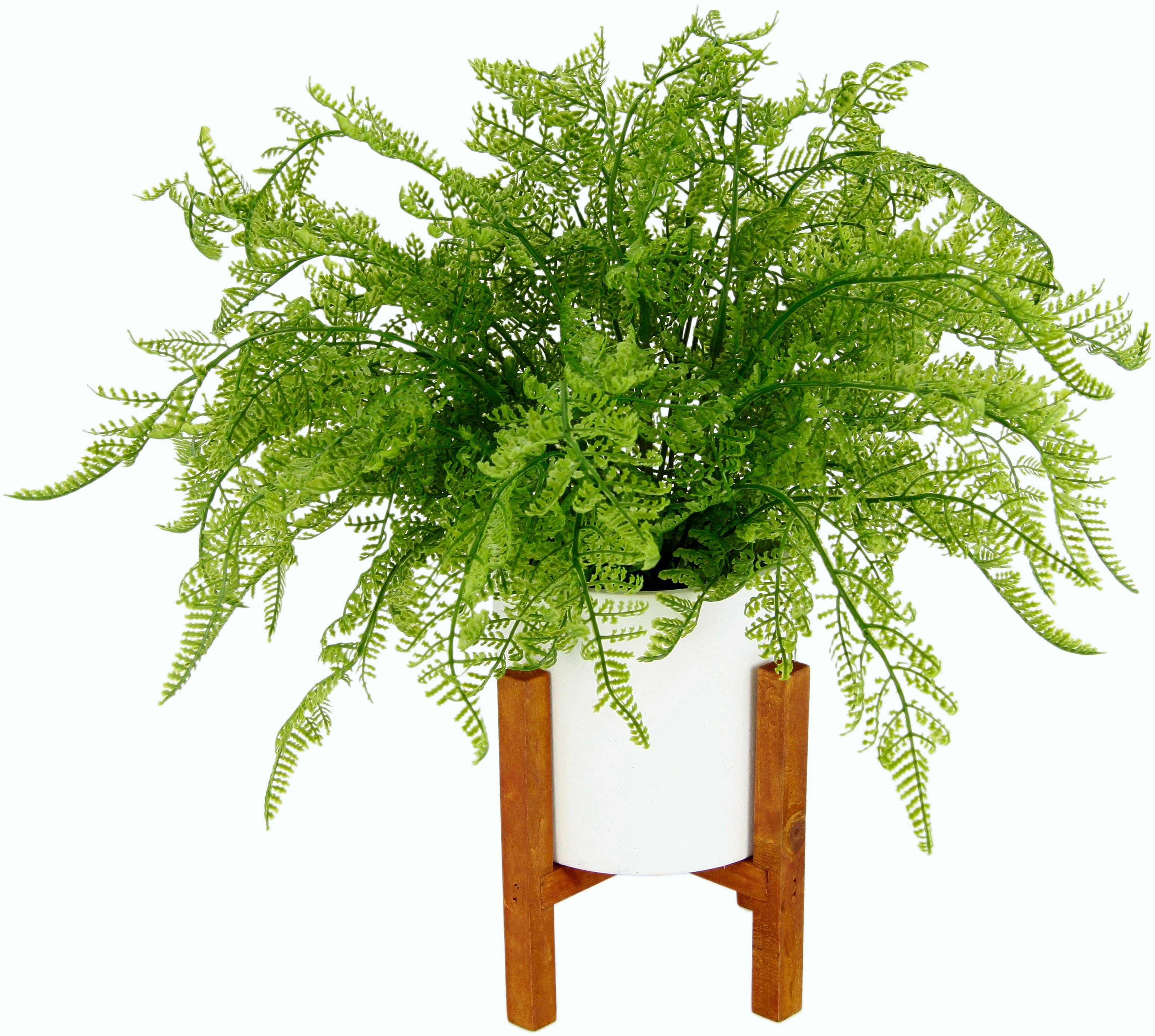 Kunstpflanze Wilhelmine Farn, DELAVITA, Höhe 38 cm, im Topf