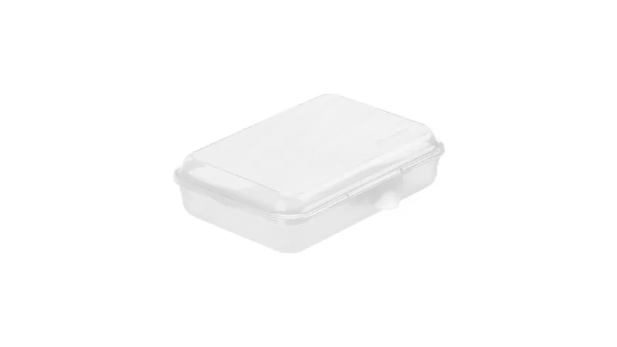 rotho Brotdose flach Funbox 0,45l klar