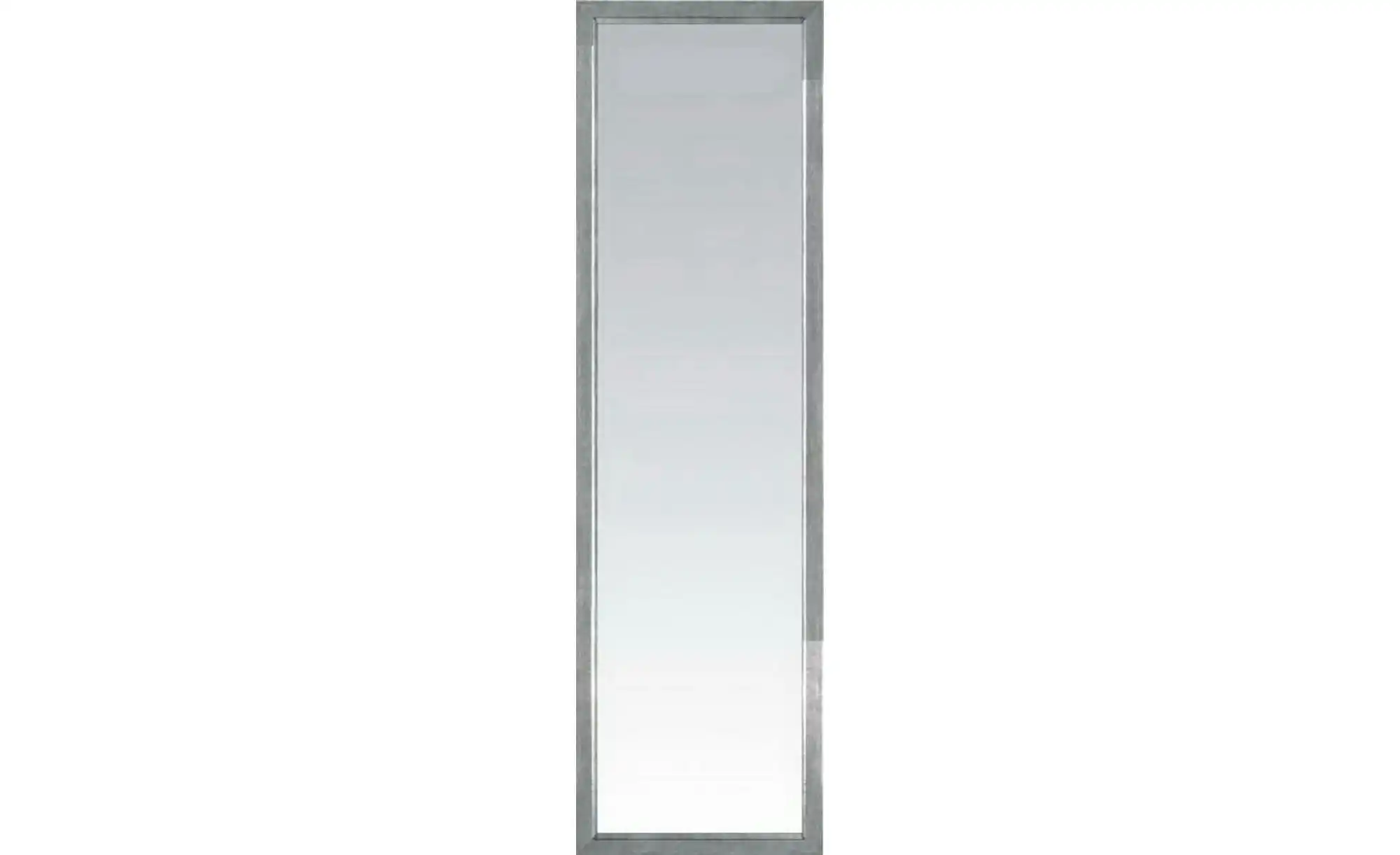 Spiegel 47 x 137 cm