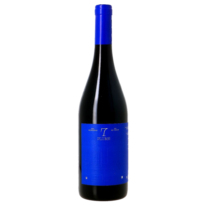 Domaine 7, Abel Benmaamar, Plume, 2020