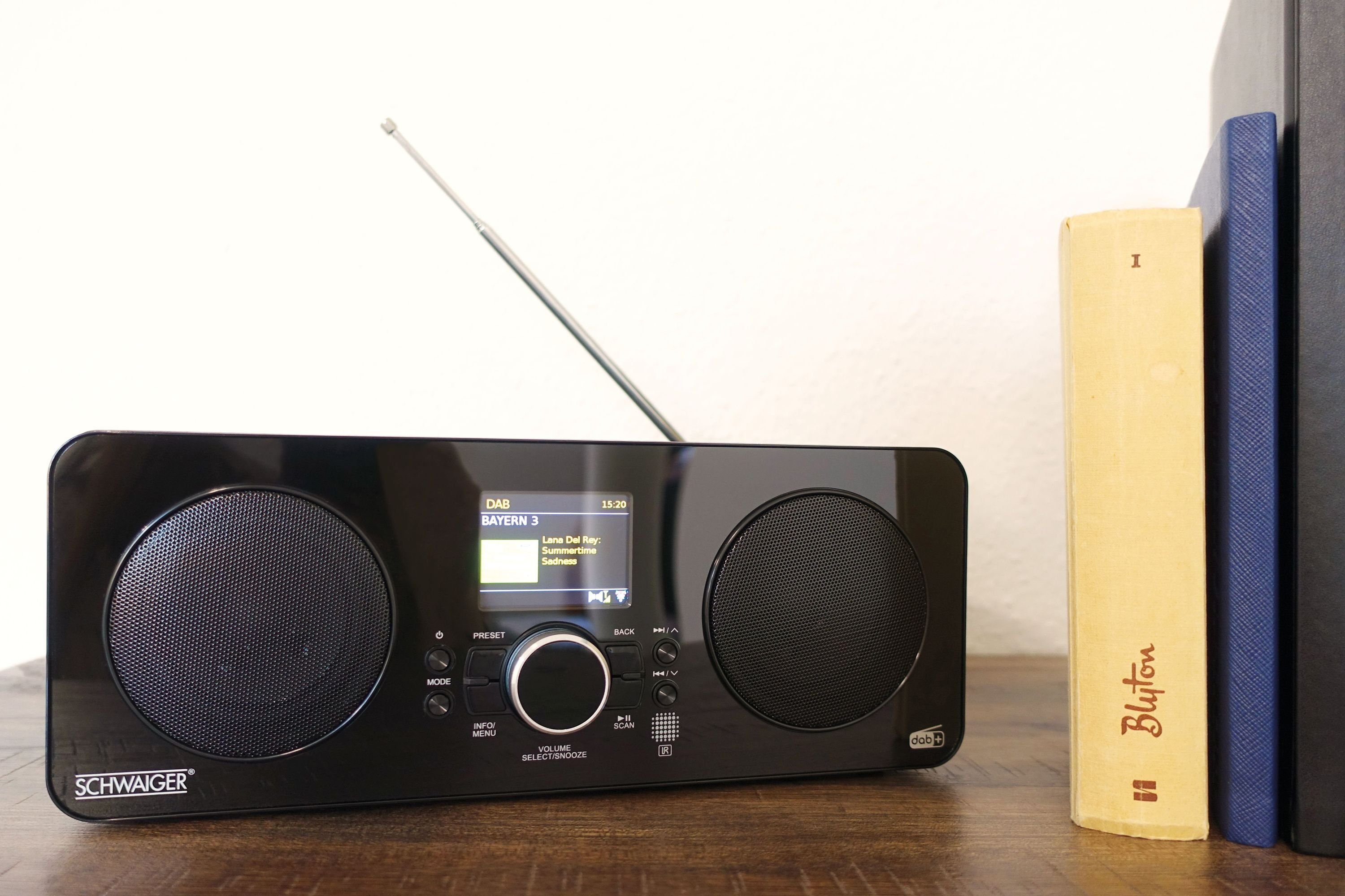 Schwaiger DAB650 513 Internet-Radio (DAB, DAB+, FM, 10 W, Weckfunktion)