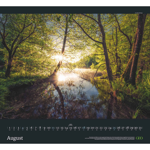 GEO KALENDER: SEHNSUCHT WALD 2024 - WAND-KALENDER - Kalender