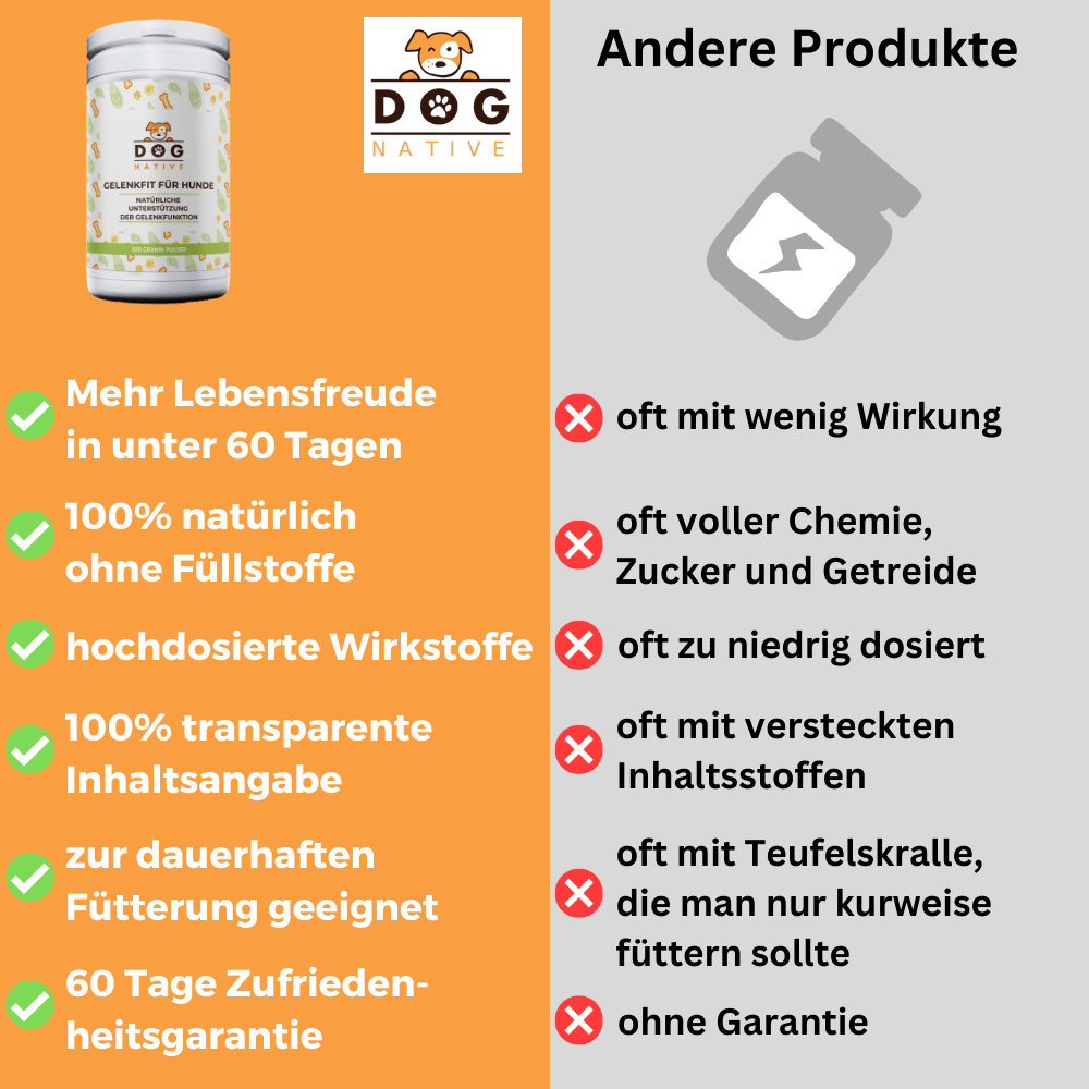 Dog-Native Ergänzungsfutter & Aufzucht Dog-Native GelenkFit Pulver für Hunde, natürliches Gelenkpulver mit Grünlippmuschel, MSM, Kollagen-Hydrolysat und Chondroitin für Gelenke, 500 g