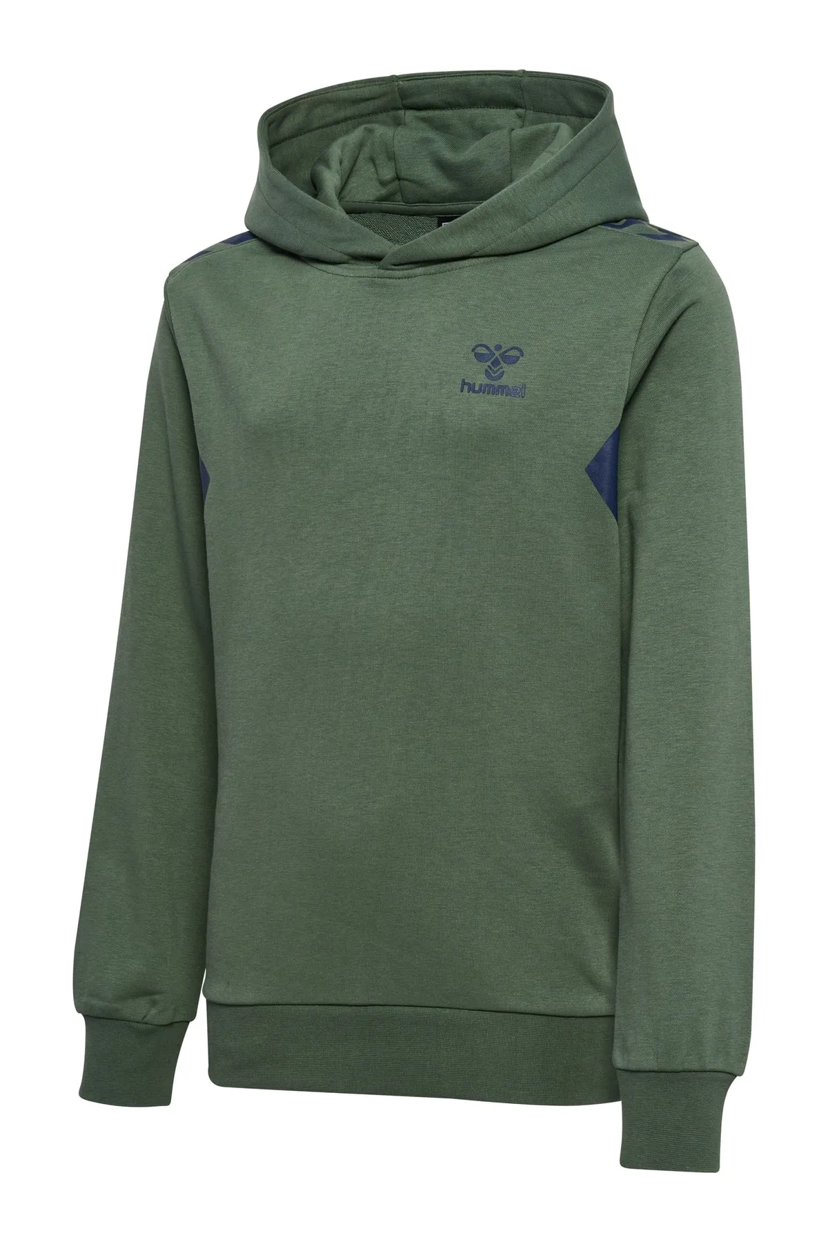 hummel  hmlSTALTIC COTTON HOODIE KIDS