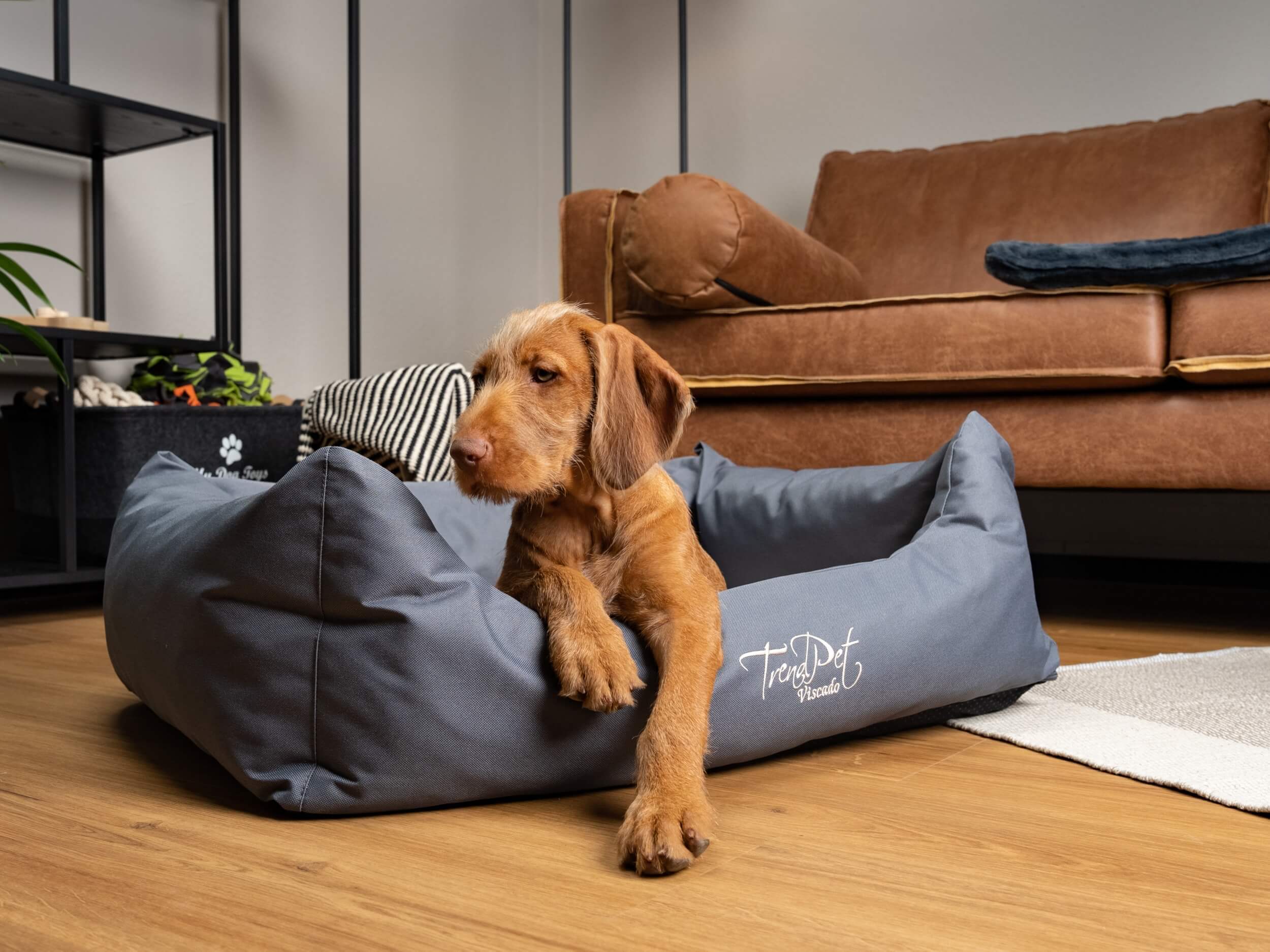TrendPet Hundebetten TrendPet Viscado orthopädisches Hundebett grau M