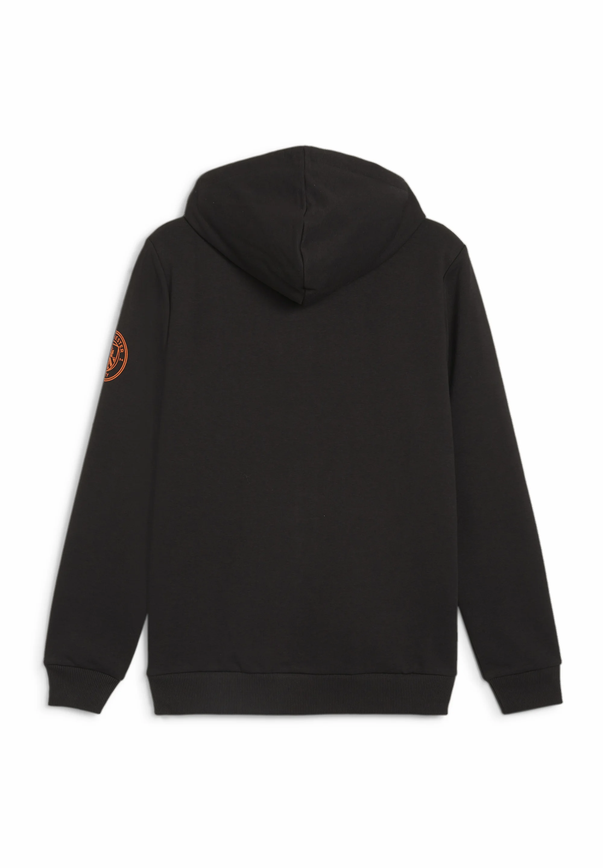 Puma MANCHESTER CITY FTBLICONS - Sudadera con cremallera