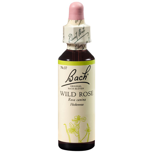BACHBLÜTEN Wild Rose Tropfen  20 ml  Tropfen