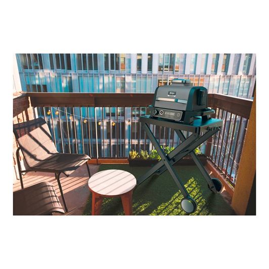 Grătar de masă NINJA WOODFIRE OG701EU