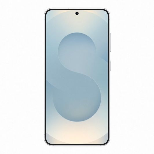 Smartphone SAMSUNG S25 5G 128Gb Γκρι