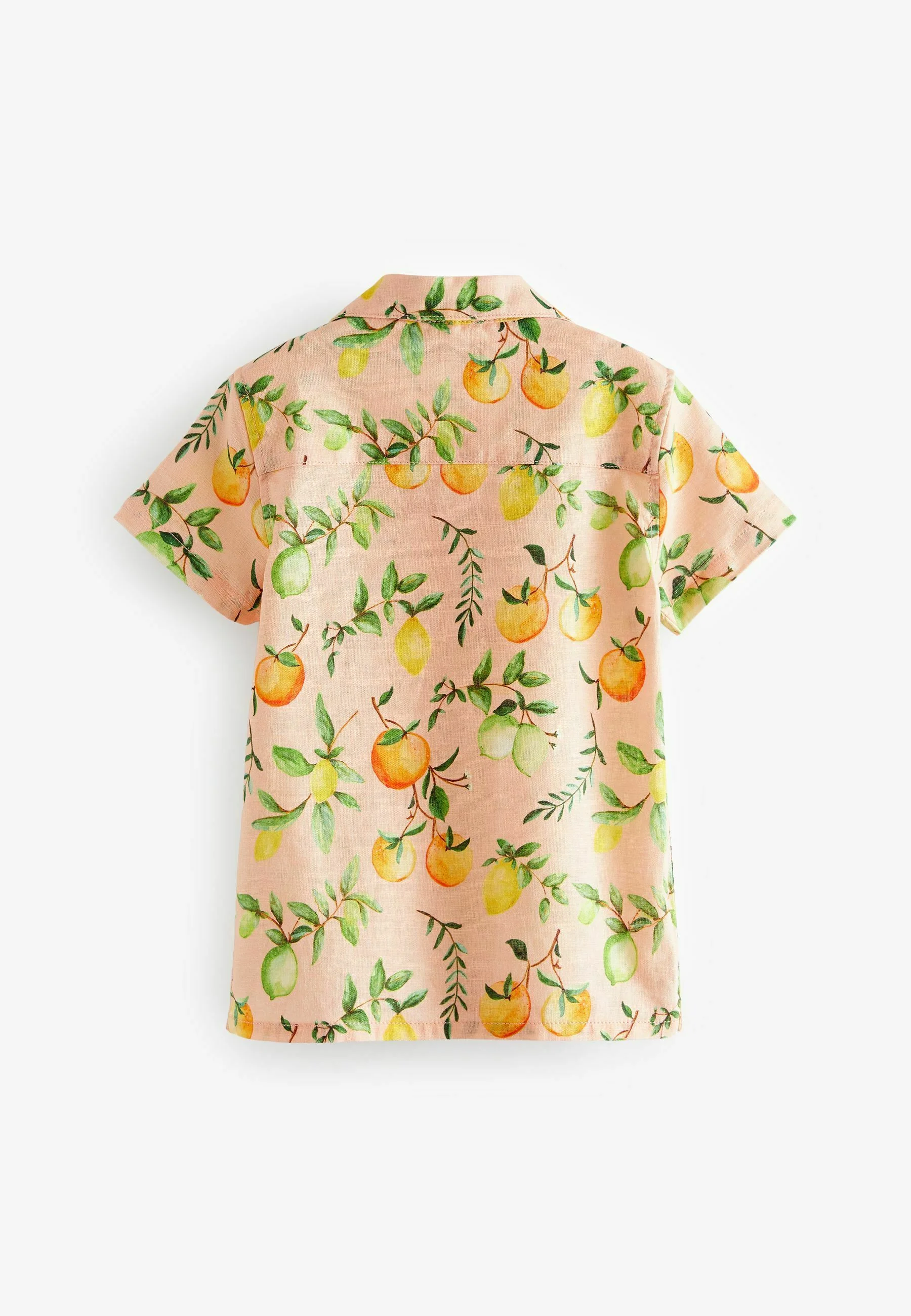 Camisa Next REGULAR FIT