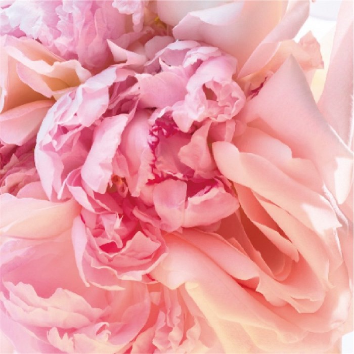 Eau de Toilette Spray