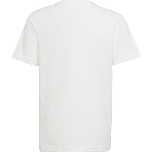 KINDER FANSHIRT FC BAYERN MÜNCHEN MEISTER KIDS