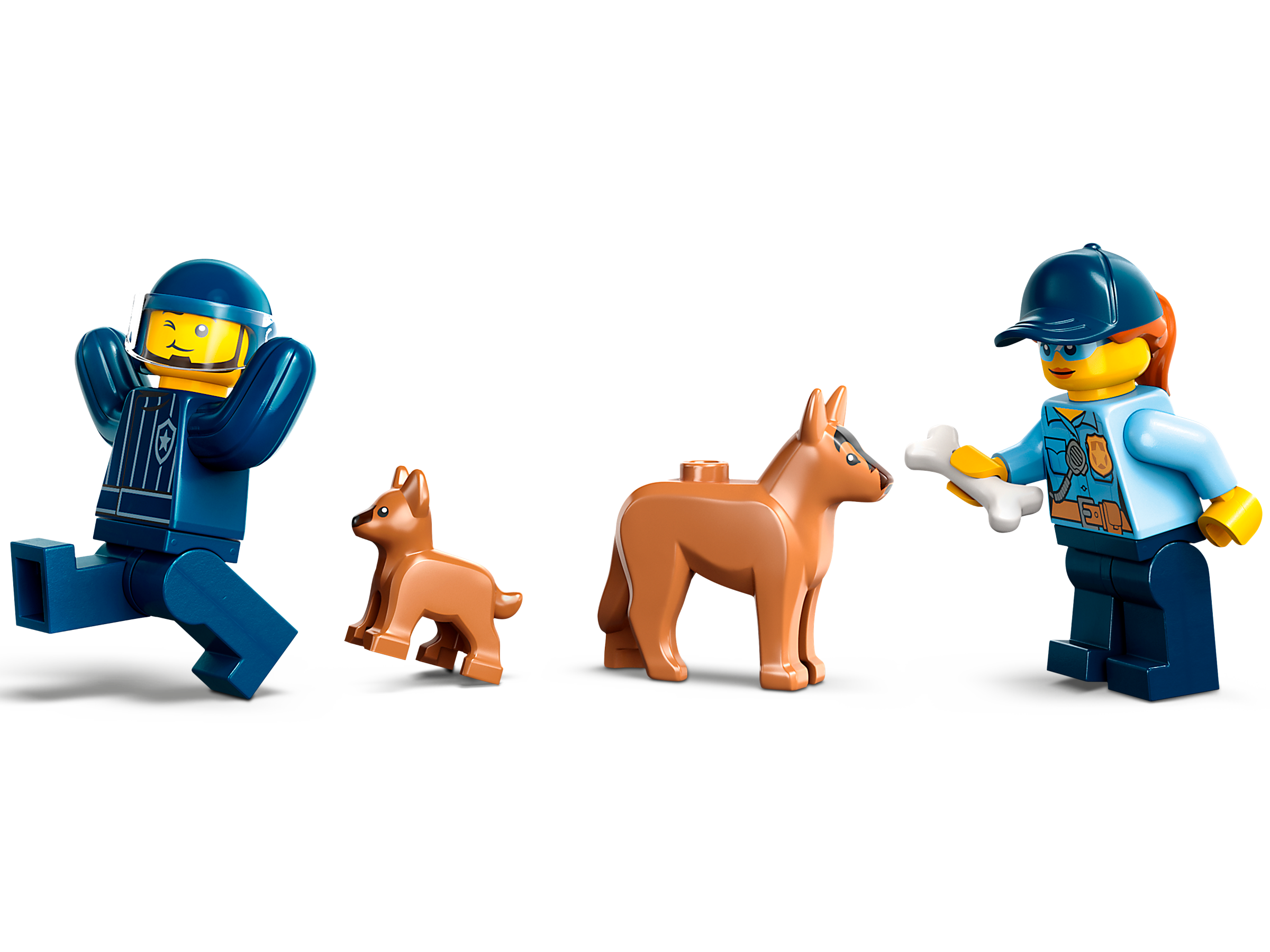 Mobiles Polizeihunde-Training 60369