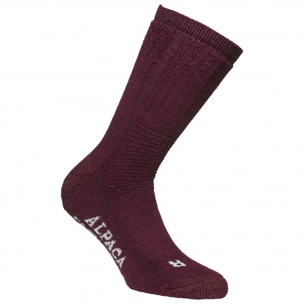 Alpacasocks&Co - Alpacasocks 3-Pack - Expeditionssocken