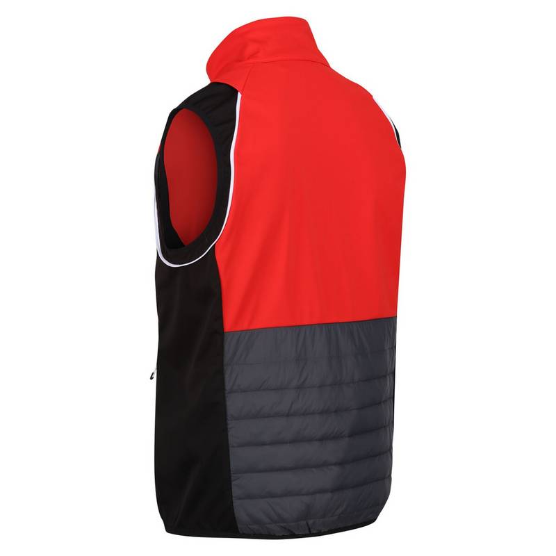 Regatta Steren Funktionsjacke Herren