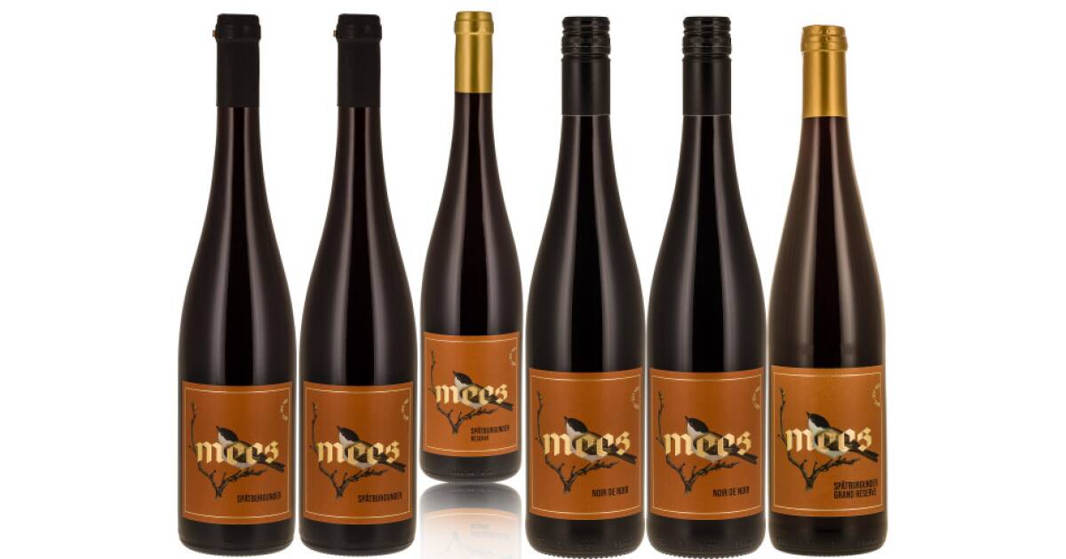 ROTWEIN TROCKEN Probierpaket von Weingut Mees günstig bei wein.de kaufen