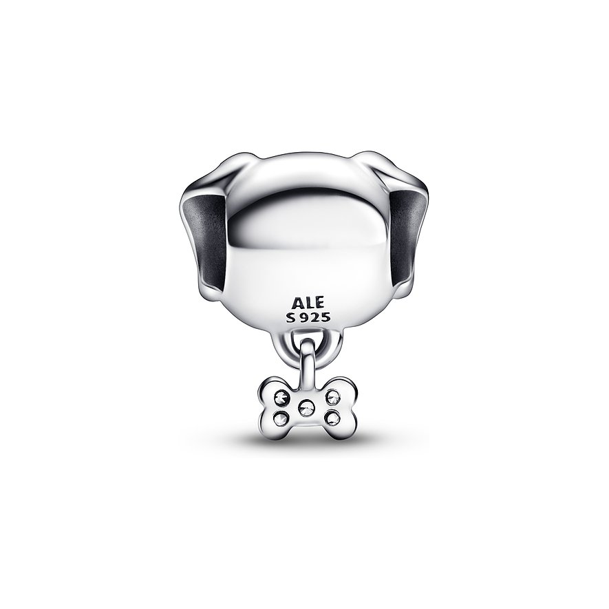 Pandora Charm Moments